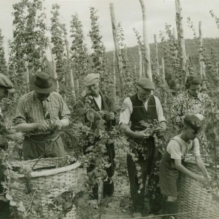 Buriton Village Association