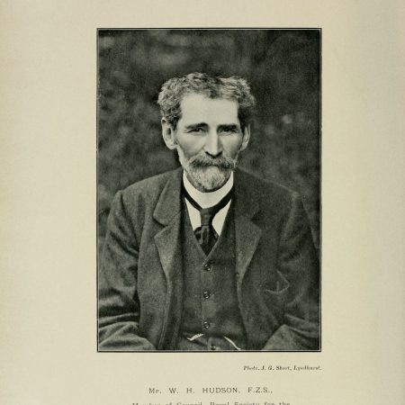 William_Henry_Hudson,_1908WikipediaasMemberofCouncilRoyalSocietyforBirds