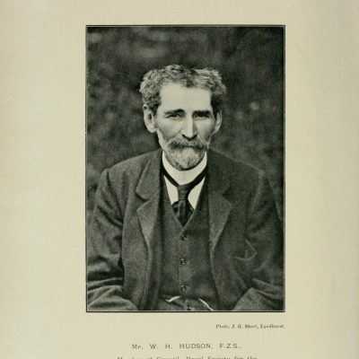 de2a8123-916d-41c0-8966-f90e173ae482